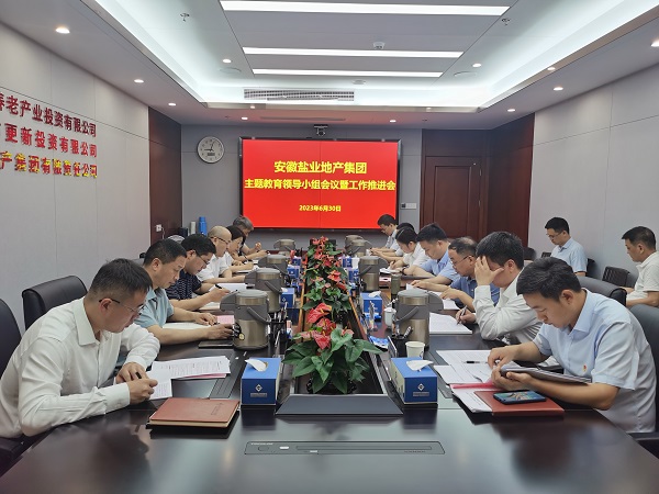 安徽尊龙凯时地产集团：从高处着眼 于细处着手 在实处着力 扎实推进主题教育走深走实